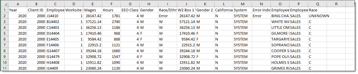 An excel spreadsheet featuring many rows of employee data. The employee in row 2 has the word "Error" in their race/ethnicity column.